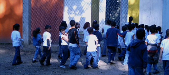 Atividades educativas